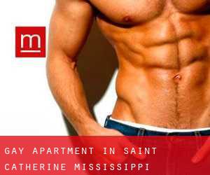 Gay Apartment in Saint Catherine (Mississippi)