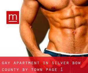 Gay Apartment in Silver Bow County by town - page 1