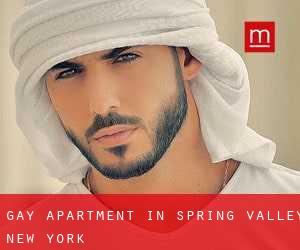Gay Apartment in Spring Valley (New York)