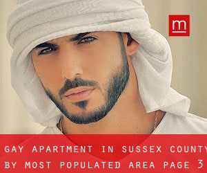 Gay Apartment in Sussex County by most populated area - page 3