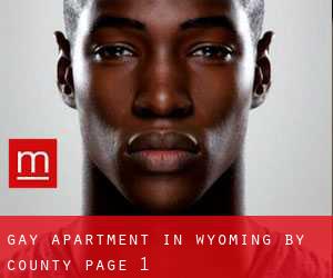Gay Apartment in Wyoming by County - page 1