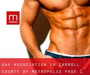 Gay Association in Carroll County by metropolis - page 1