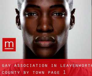 Gay Association in Leavenworth County by town - page 1