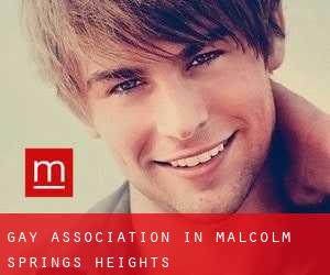 Gay Association in Malcolm Springs Heights