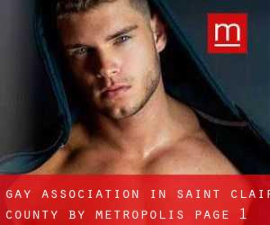 Gay Association in Saint Clair County by metropolis - page 1