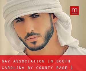 Gay Association in South Carolina by County - page 1
