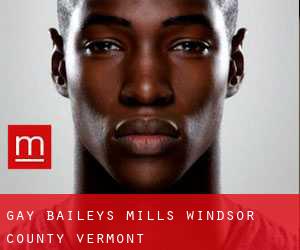 gay Baileys Mills (Windsor County, Vermont)