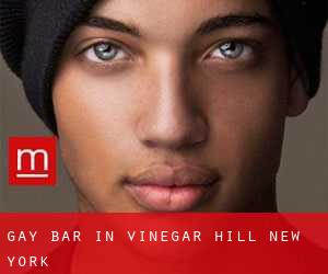 Gay Bar in Vinegar Hill (New York)