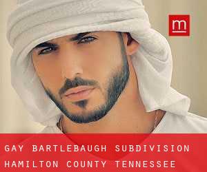 gay Bartlebaugh Subdivision (Hamilton County, Tennessee)