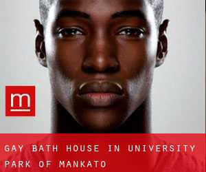 Gay Bath House in University Park of Mankato
