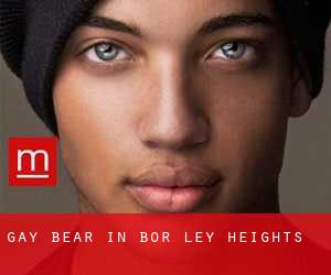 Gay Bear in Bor-ley Heights