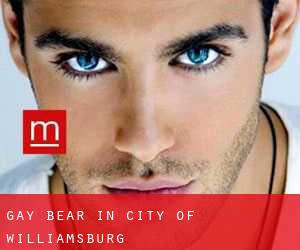 Gay Bear in City of Williamsburg