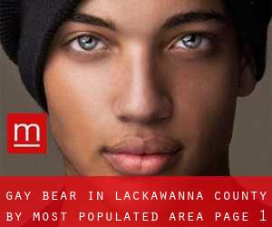 Gay Bear in Lackawanna County by most populated area - page 1