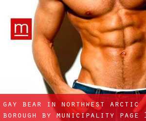 Gay Bear in Northwest Arctic Borough by municipality - page 1