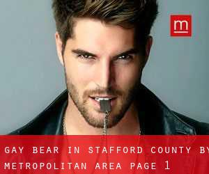 Gay Bear in Stafford County by metropolitan area - page 1