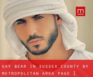Gay Bear in Sussex County by metropolitan area - page 1