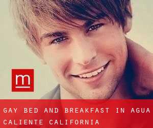Gay Bed and Breakfast in Agua Caliente (California)