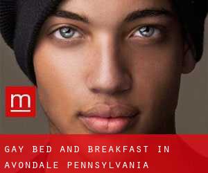 Gay Bed and Breakfast in Avondale (Pennsylvania)
