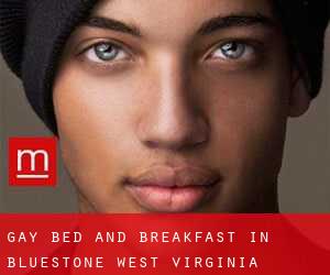 Gay Bed and Breakfast in Bluestone (West Virginia)