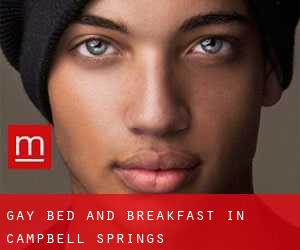 Gay Bed and Breakfast in Campbell Springs
