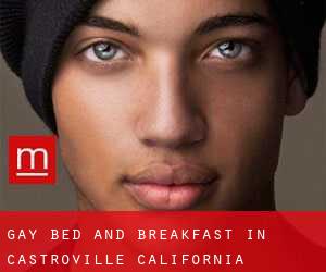 Gay Bed and Breakfast in Castroville (California)