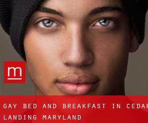 Gay Bed and Breakfast in Cedar Landing (Maryland)