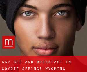 Gay Bed and Breakfast in Coyote Springs (Wyoming)