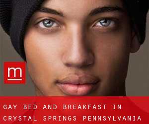 Gay Bed and Breakfast in Crystal Springs (Pennsylvania)