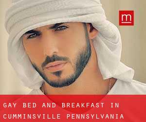Gay Bed and Breakfast in Cumminsville (Pennsylvania)