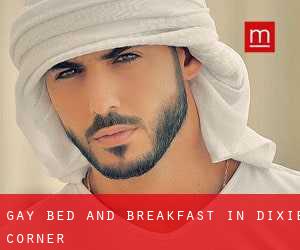 Gay Bed and Breakfast in Dixie Corner