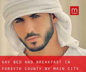Gay Bed and Breakfast in Forsyth County by main city - page 2