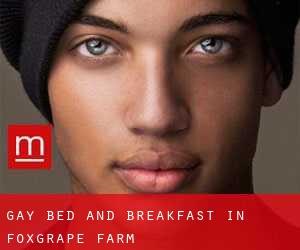 Gay Bed and Breakfast in Foxgrape Farm
