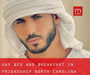 Gay Bed and Breakfast in Friendship (North Carolina)