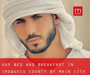 Gay Bed and Breakfast in Iroquois County by main city - page 1