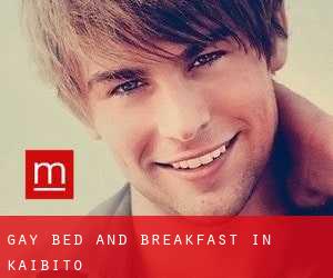 Gay Bed and Breakfast in Kaibito