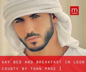 Gay Bed and Breakfast in Leon County by town - page 1