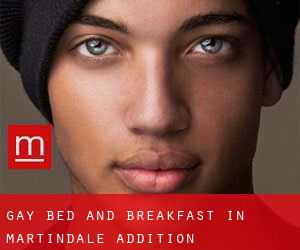 Gay Bed and Breakfast in Martindale Addition
