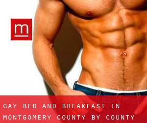 Gay Bed and Breakfast in Montgomery County by county seat - page 1