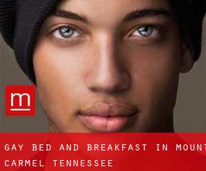 Gay Bed and Breakfast in Mount Carmel (Tennessee)