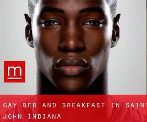 Gay Bed and Breakfast in Saint John (Indiana)