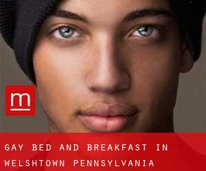 Gay Bed and Breakfast in Welshtown (Pennsylvania)