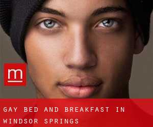 Gay Bed and Breakfast in Windsor Springs