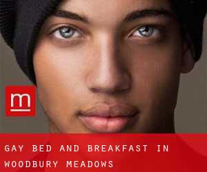 Gay Bed and Breakfast in Woodbury Meadows