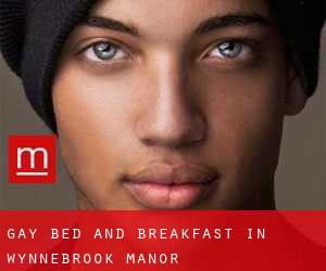 Gay Bed and Breakfast in Wynnebrook Manor