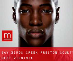 gay Birds Creek (Preston County, West Virginia)