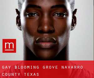 gay Blooming Grove (Navarro County, Texas)