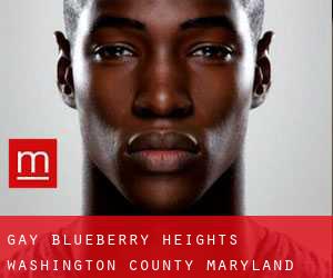 gay Blueberry Heights (Washington County, Maryland)