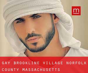 gay Brookline Village (Norfolk County, Massachusetts)