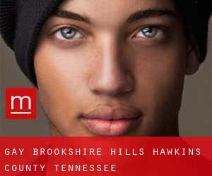 gay Brookshire Hills (Hawkins County, Tennessee)
