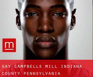 gay Campbells Mill (Indiana County, Pennsylvania)